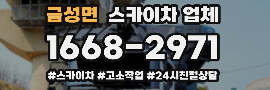 금성면 스카이차 업체