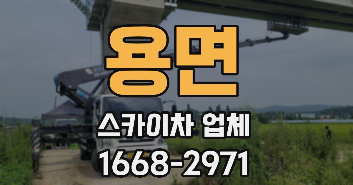 용면 스카이차 업체