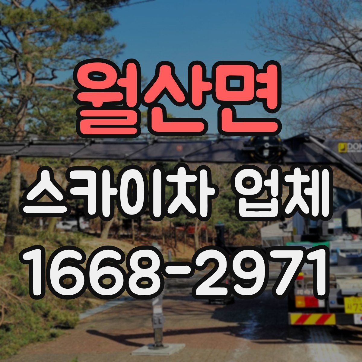 월산면 스카이차 업체