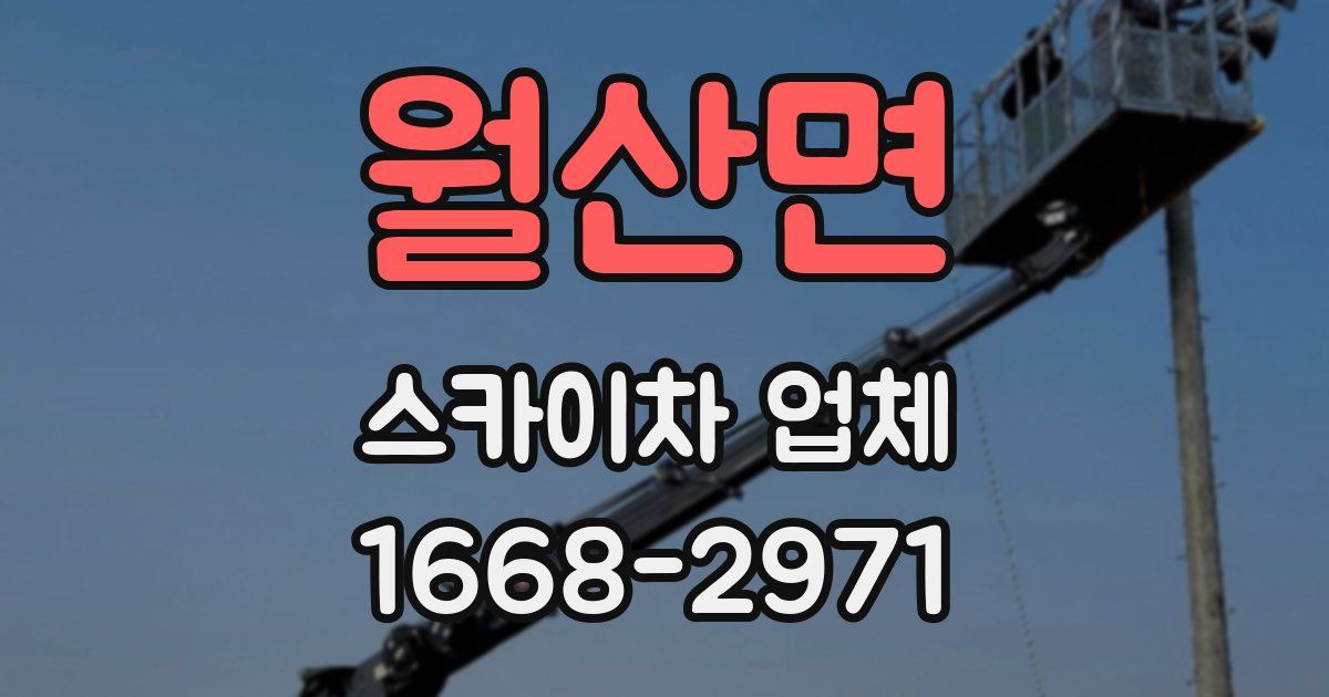 월산면 스카이차 업체