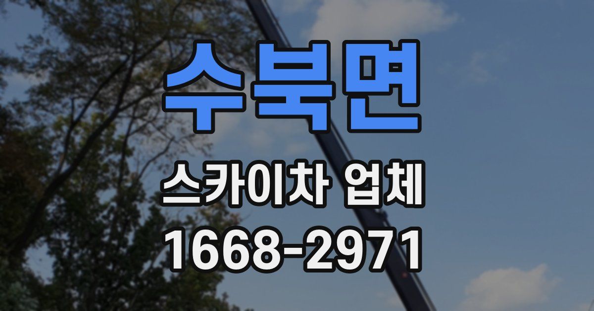 수북면 스카이차 업체