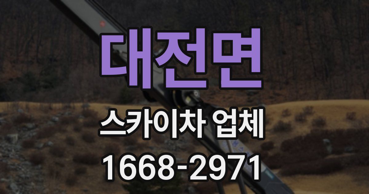 대전면 스카이차 업체