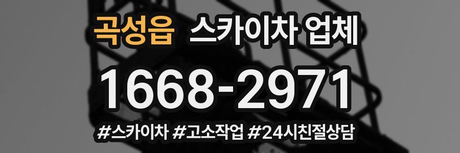 곡성읍 스카이차 업체