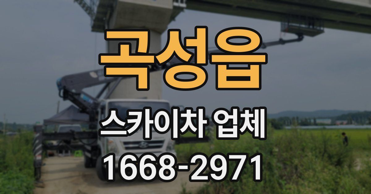 곡성읍 스카이차 업체