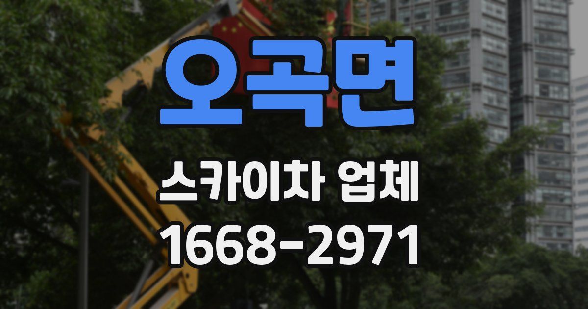 오곡면 스카이차 업체