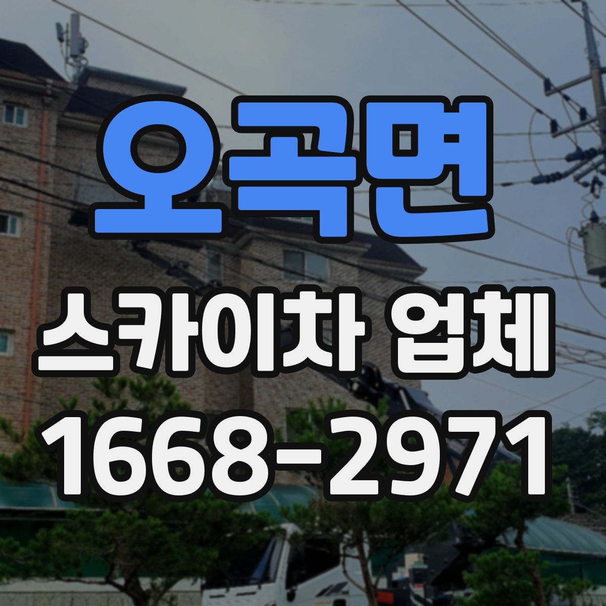 오곡면 스카이차 업체