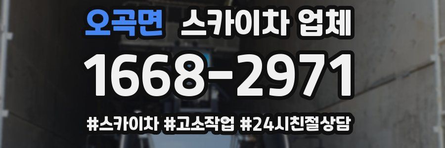 오곡면 스카이차 업체