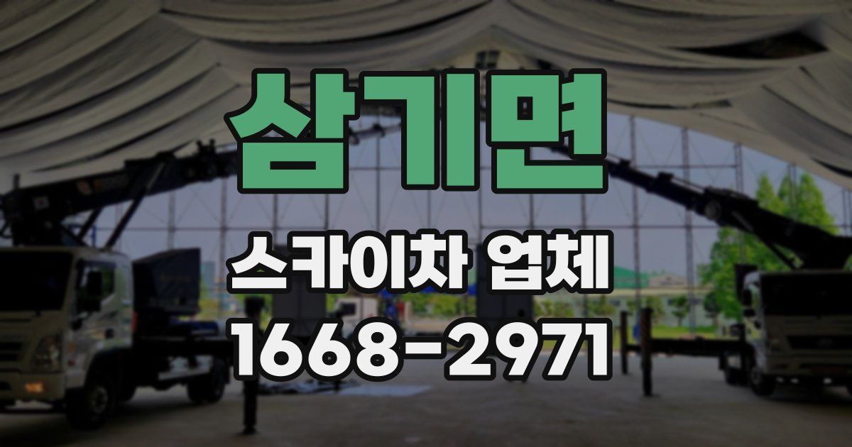 삼기면 스카이차 업체