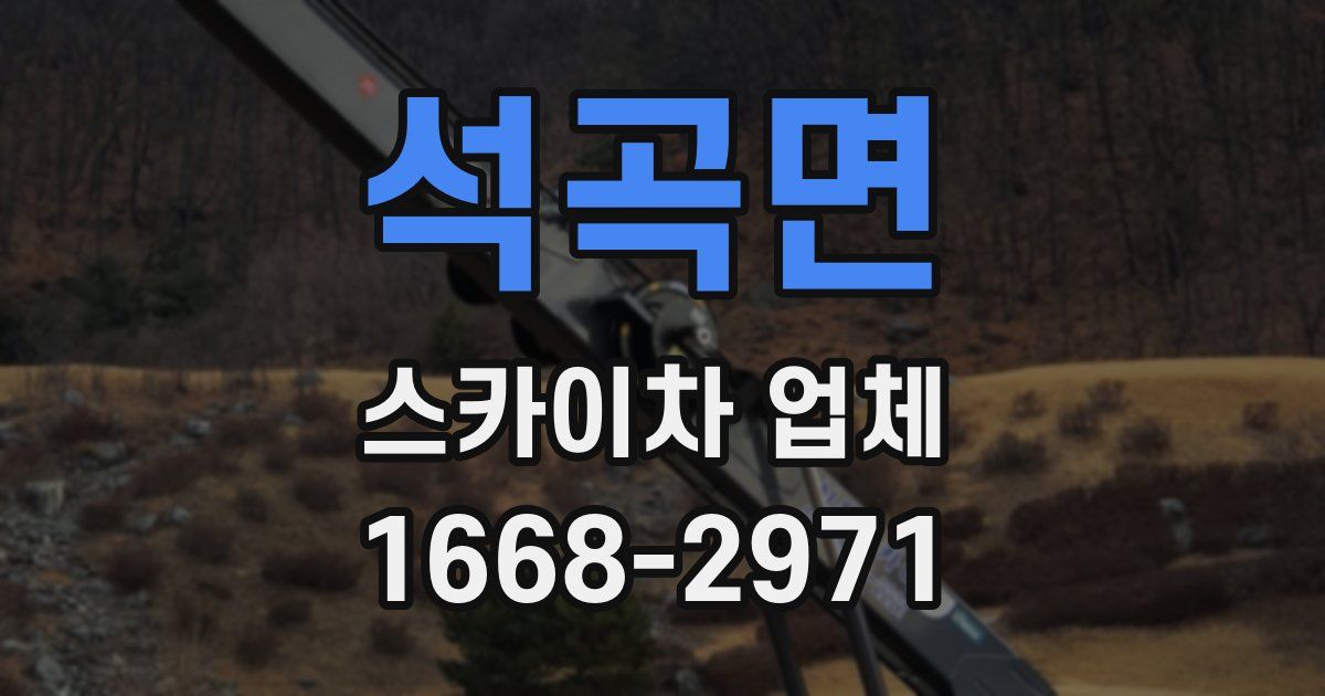 석곡면 스카이차 업체