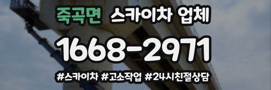 죽곡면 스카이차 업체