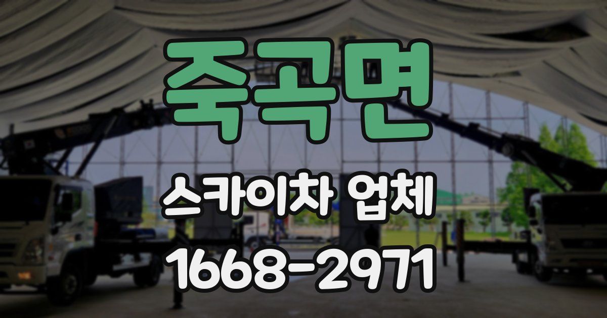 죽곡면 스카이차 업체