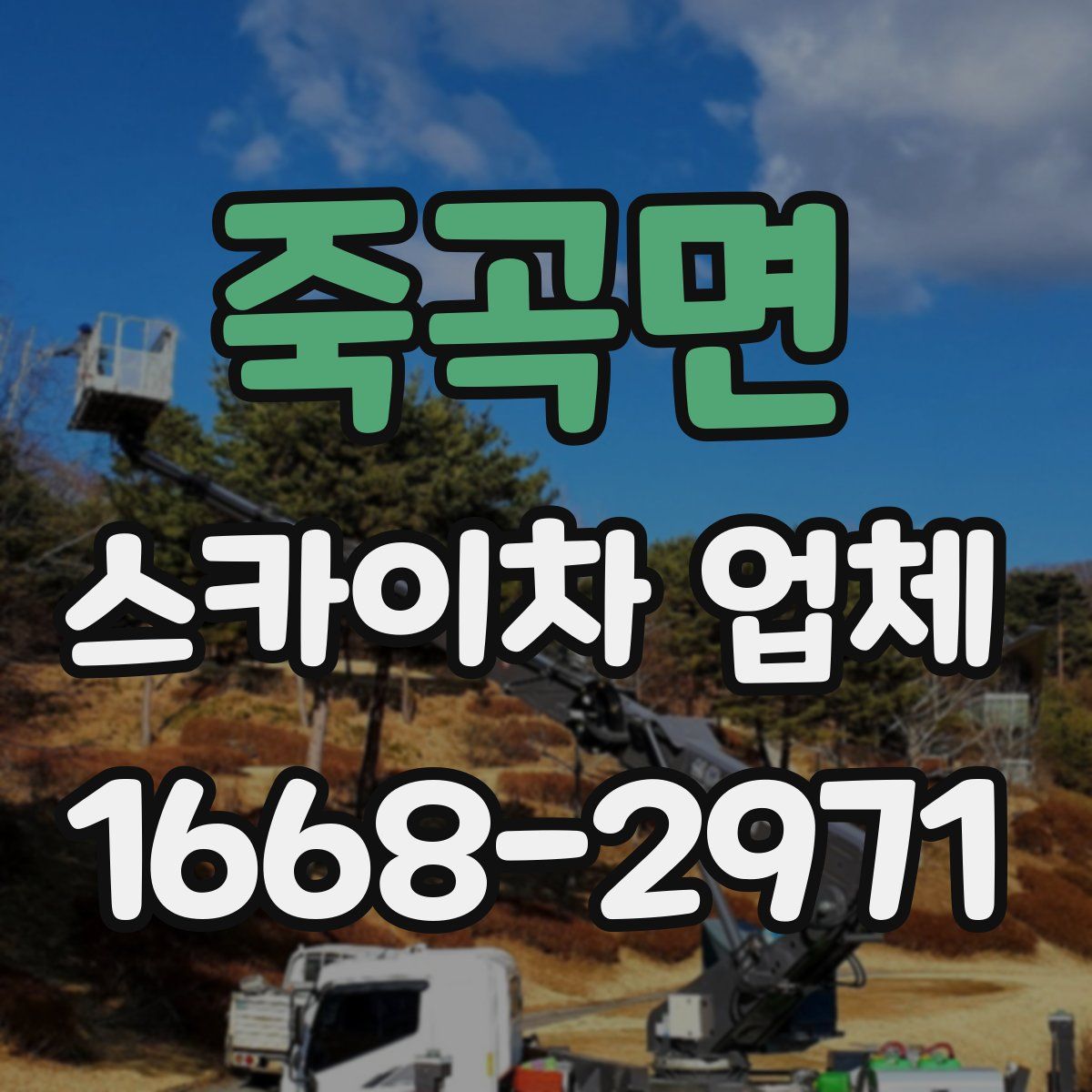 죽곡면 스카이차 업체