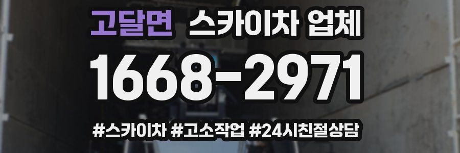고달면 스카이차 업체