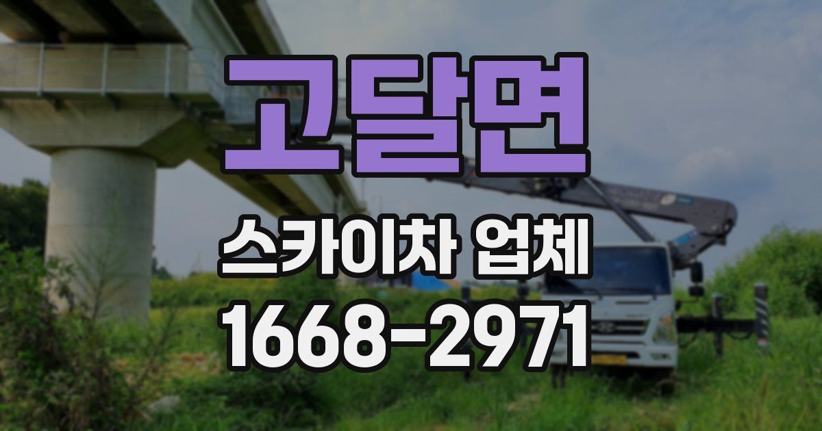 고달면 스카이차 업체