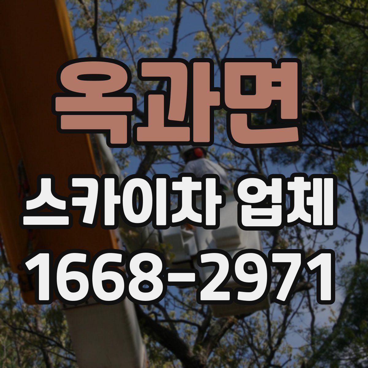 옥과면 스카이차 업체