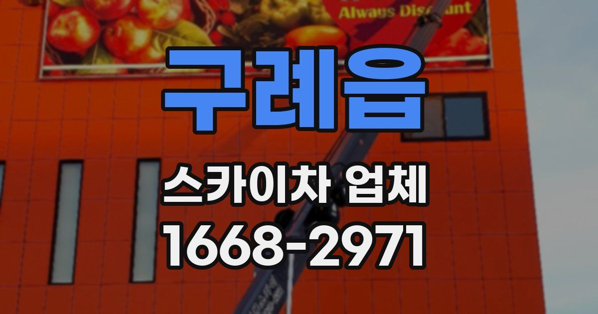 구례읍 스카이차 업체