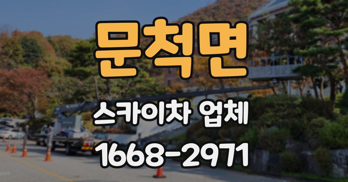 문척면 스카이차 업체