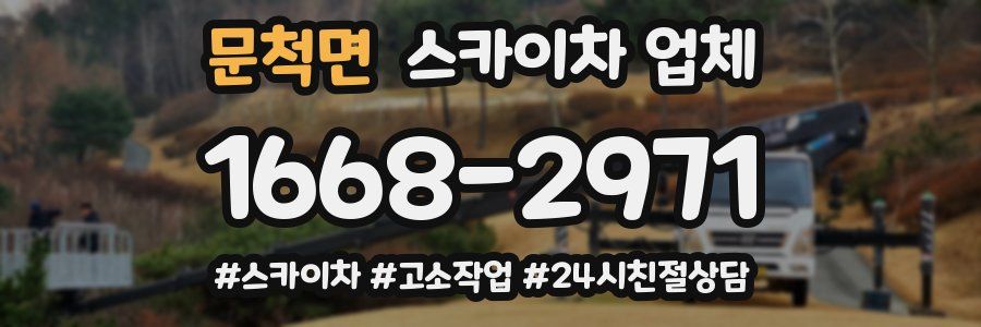 문척면 스카이차 업체