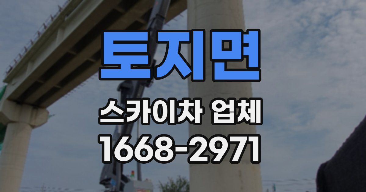 토지면 스카이차 업체