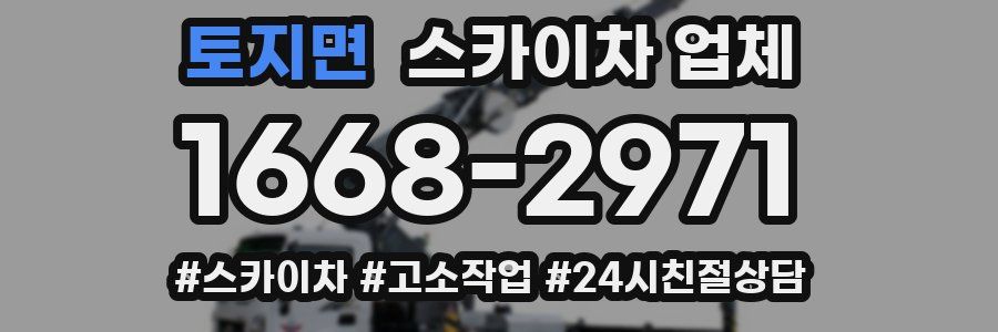 토지면 스카이차 업체