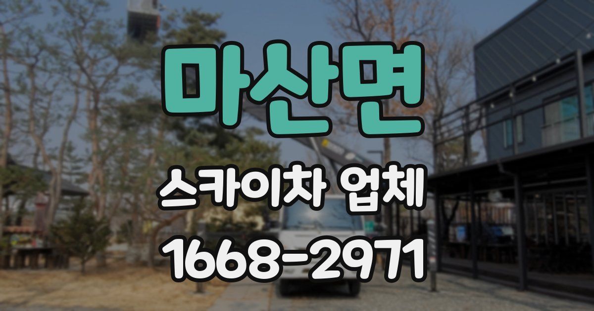 마산면 스카이차 업체