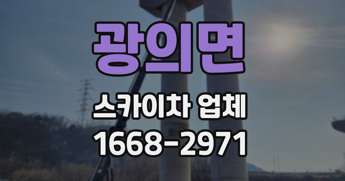 광의면 스카이차 업체