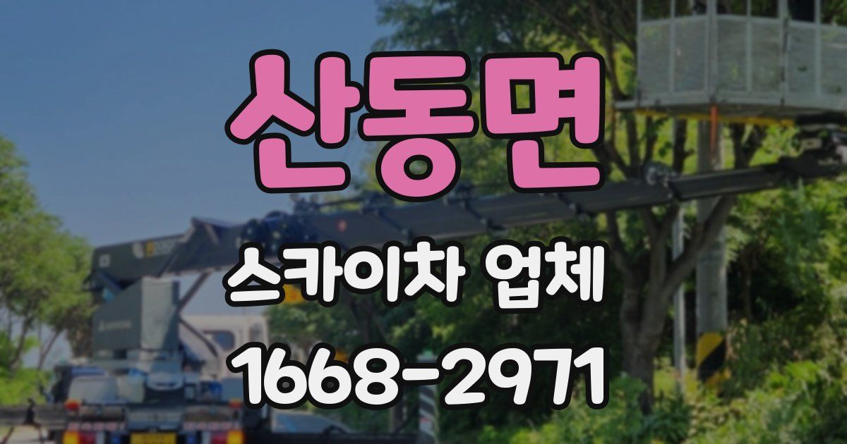 산동면 스카이차 업체