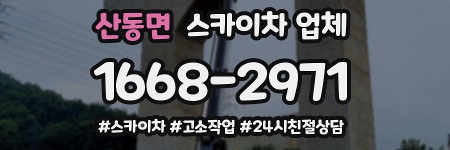산동면 스카이차 업체