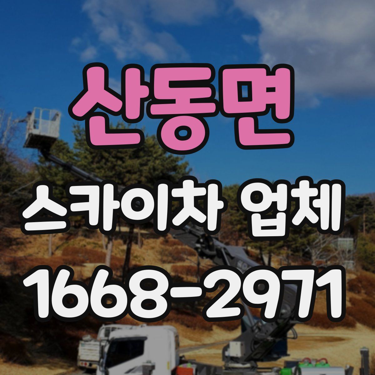 산동면 스카이차 업체