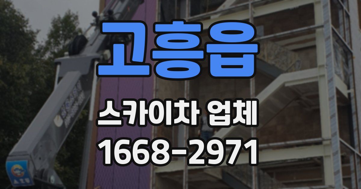 고흥읍 스카이차 업체
