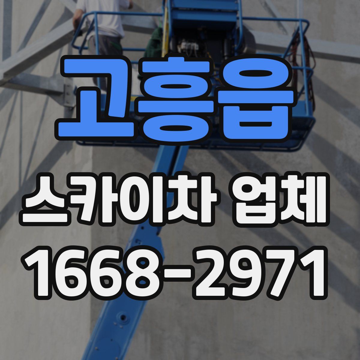 고흥읍 스카이차 업체