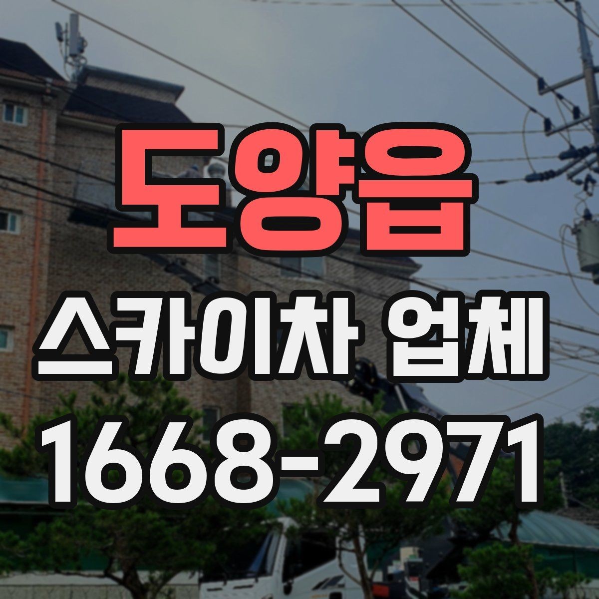 도양읍 스카이차 업체 이용 전 장비 규격 확인하기
