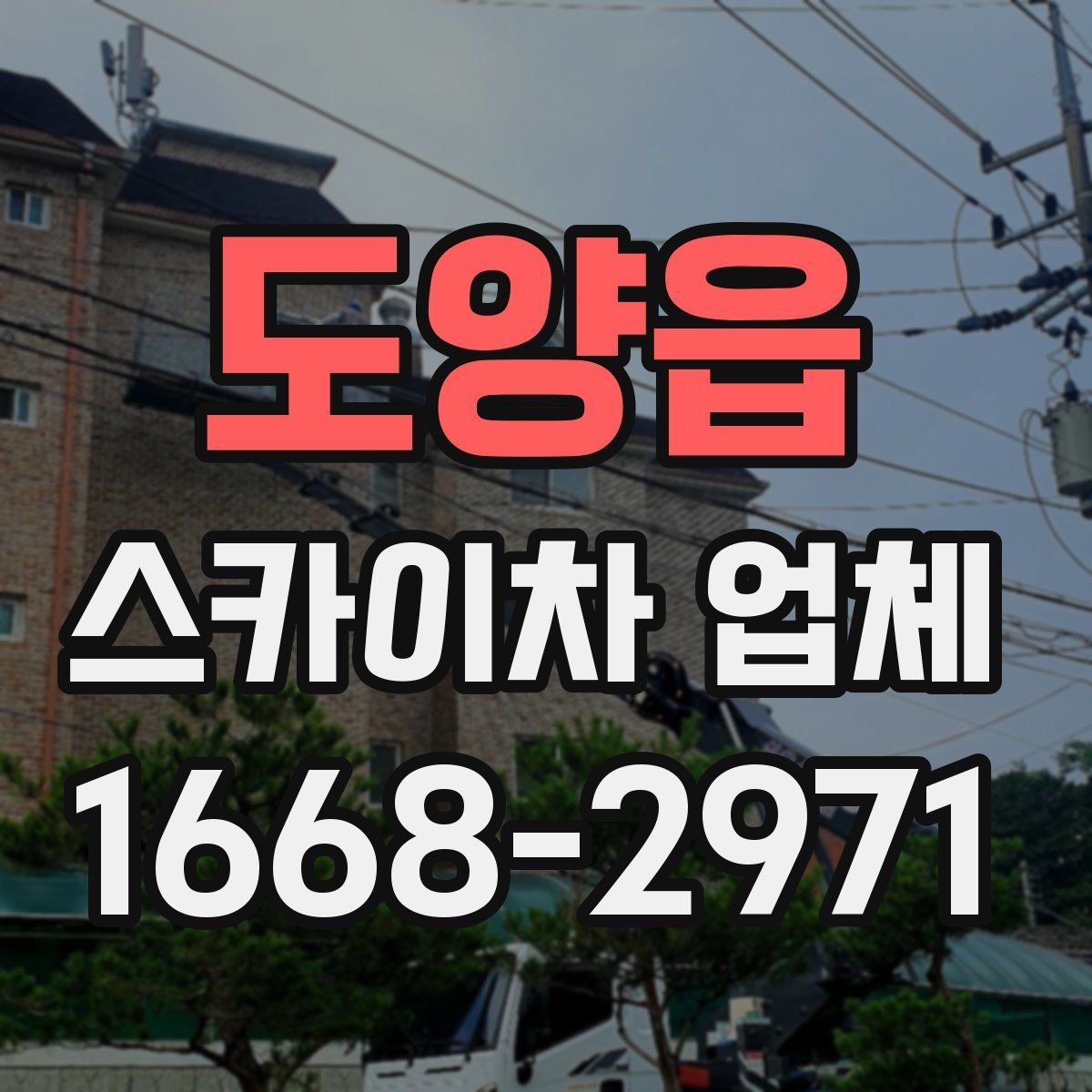 도양읍 스카이차 업체