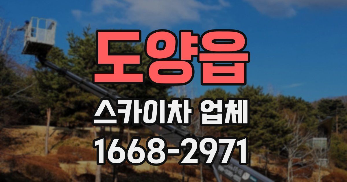 도양읍 스카이차 업체