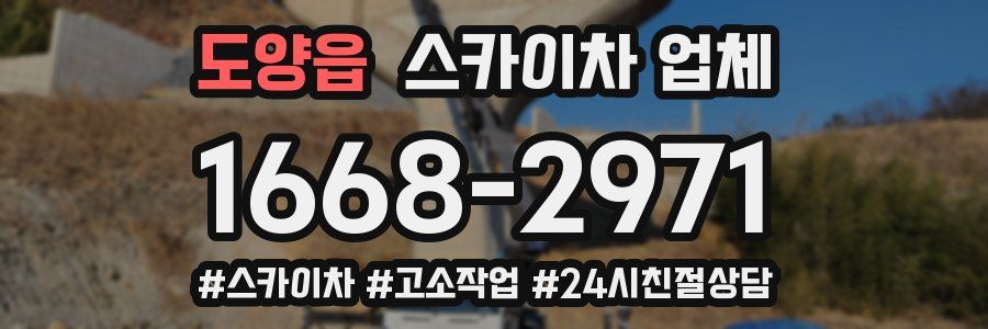 도양읍 스카이차 업체