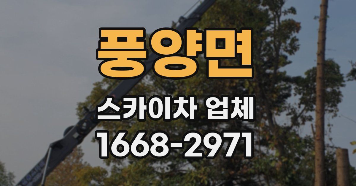 풍양면 스카이차 업체