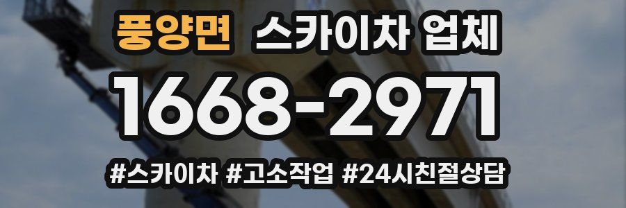 풍양면 스카이차 업체