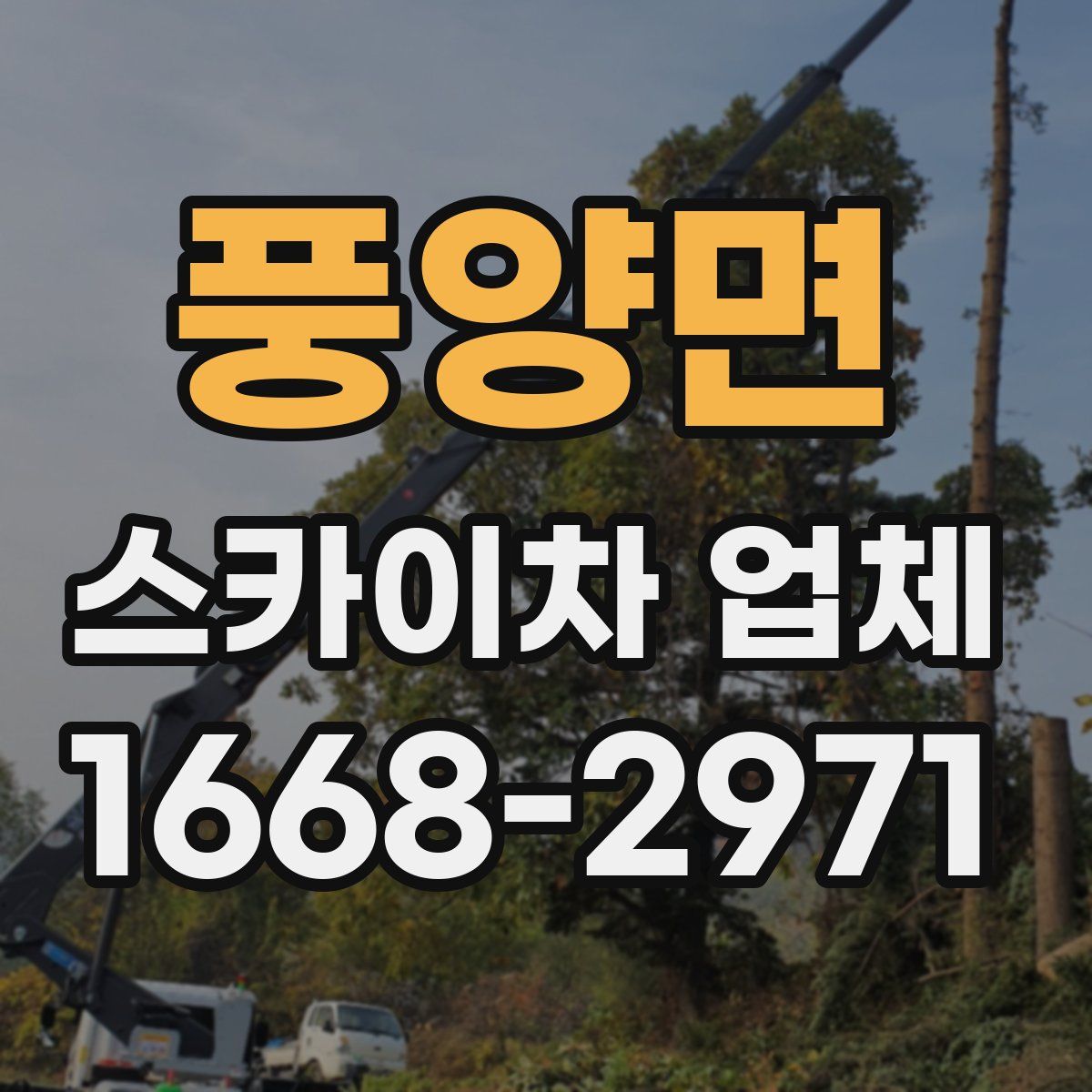 풍양면 스카이차 업체