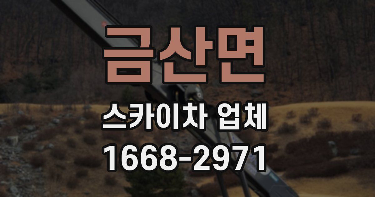 금산면 스카이차 업체