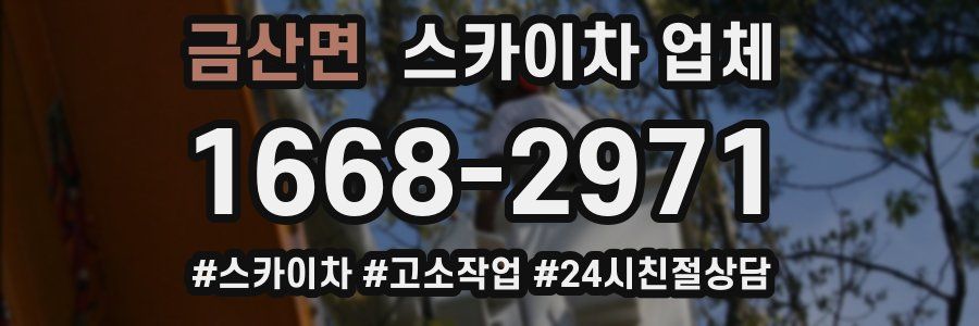 금산면 스카이차 업체