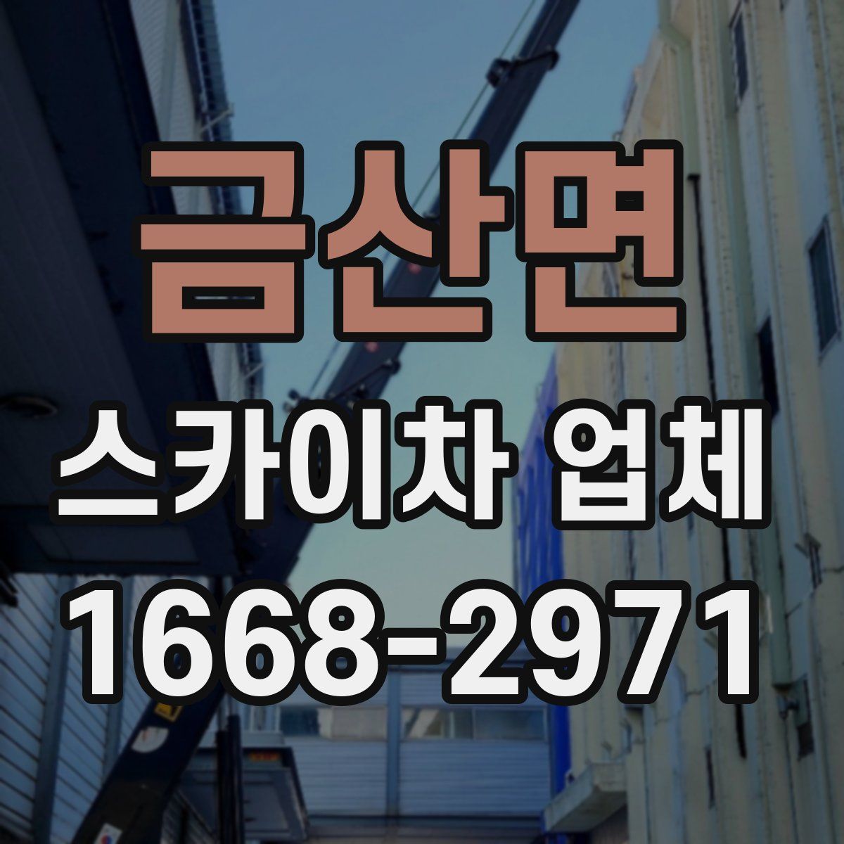 금산면 스카이차 업체