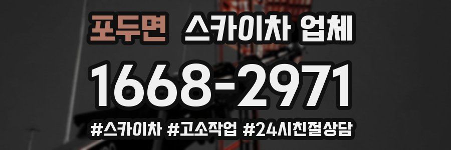 포두면 스카이차 업체