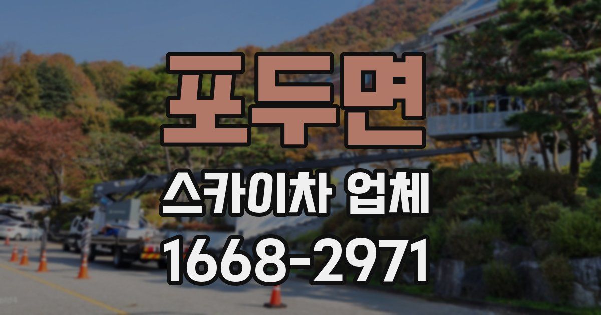 포두면 스카이차 업체