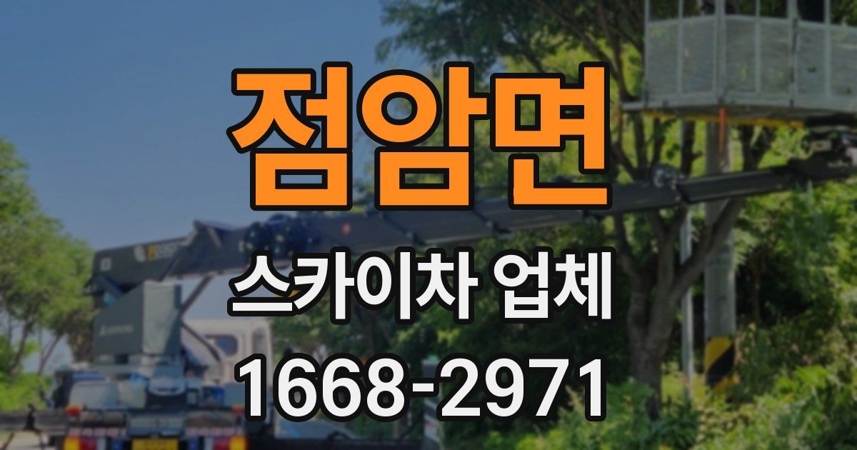 점암면 스카이차 업체