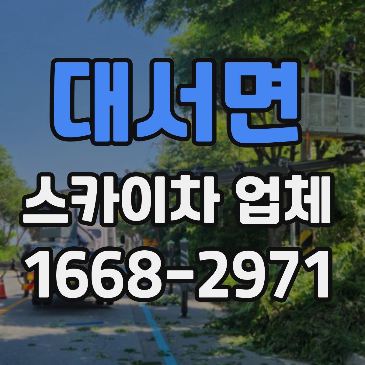 대서면 스카이차 업체