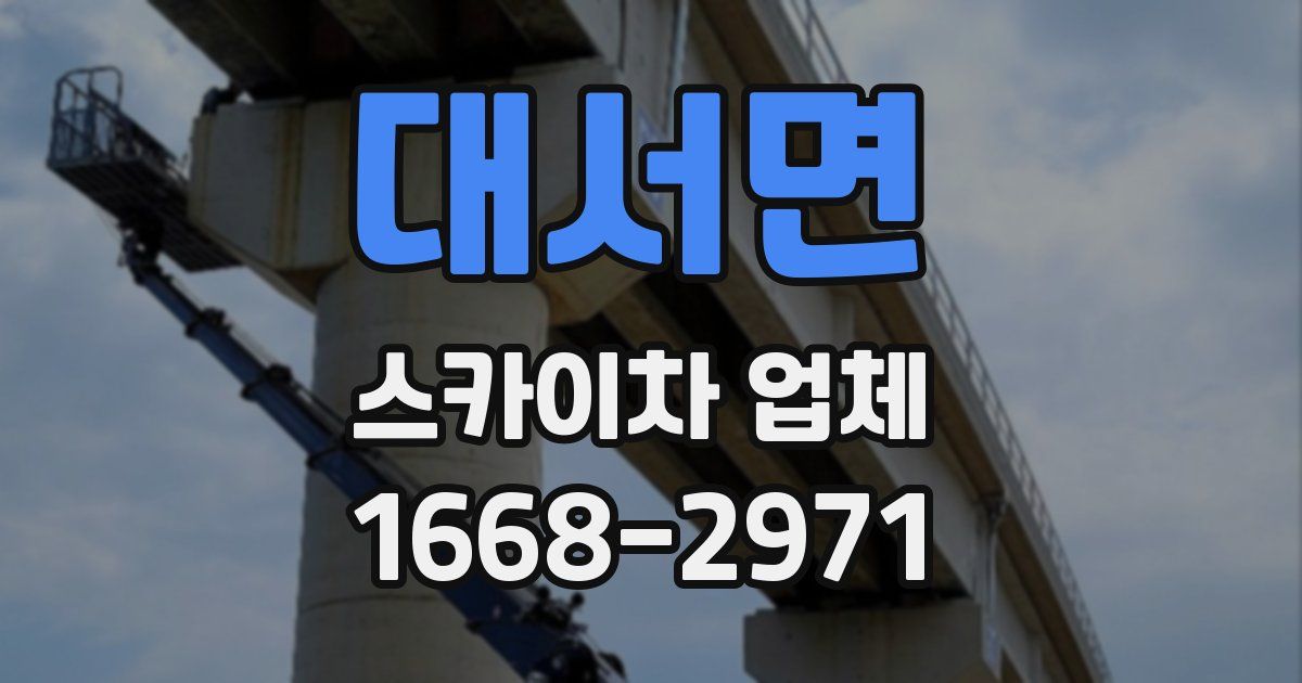 대서면 스카이차 업체