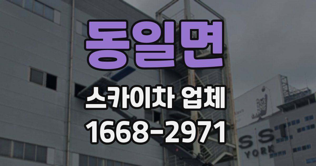 동일면 스카이차 업체