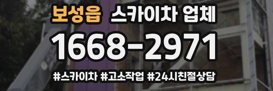 보성읍 스카이차 업체