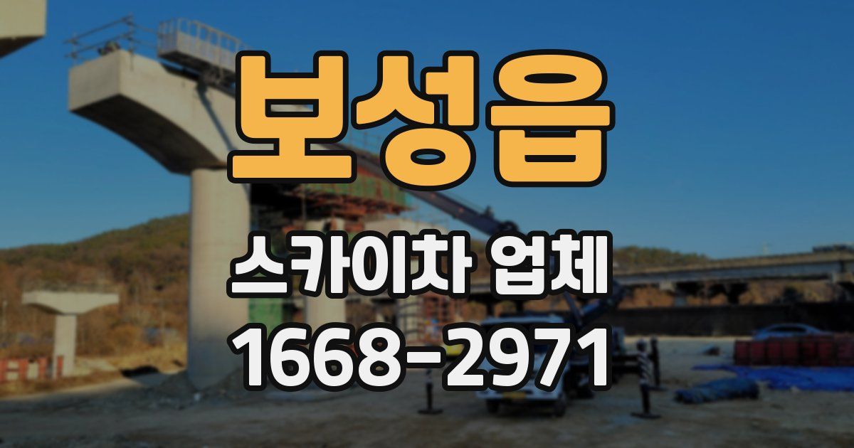 보성읍 스카이차 업체