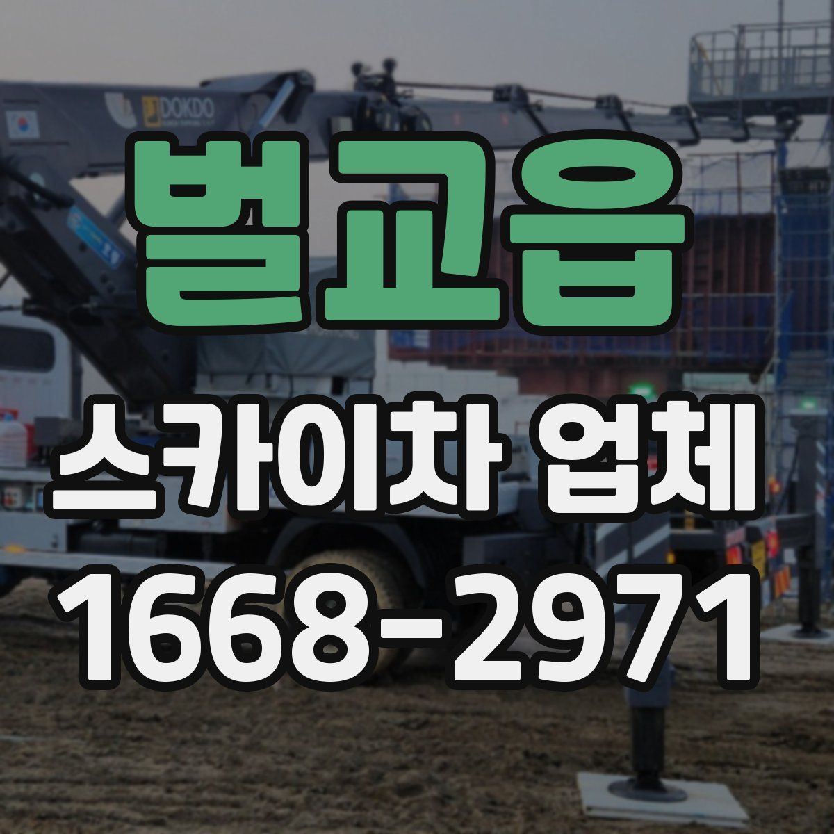 벌교읍 스카이차 업체